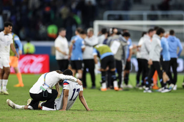 期待他们带 期待他们带