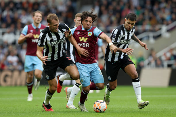 大连双星闪 大连双星闪